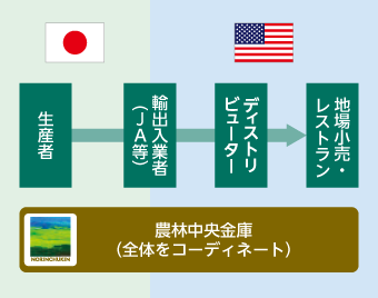 農林中央金が生産者から地域小売・レストランまでの輸出をコーディネートする体制を示した図