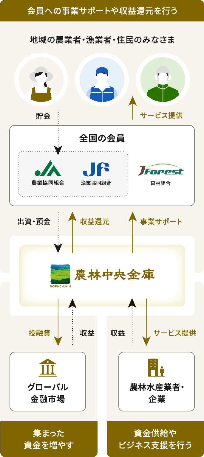 農林中央金庫の役割を示す図。左側に全国の会員（JA、JF、森林組合など）と地域の組合員・利用者が描かれ、貯金やサービス提供を通じて農林中央金庫に資金が集まる。中央に農林中央金庫があり、右側にはグローバル金融市場と農林水産業者・企業が描かれている。農林中央金庫は、グローバル金融市場で投資運用を行い、農林水産業者・企業には資金供給やビジネス支援を行う。会員には事業サポートや収益還元も実施している。