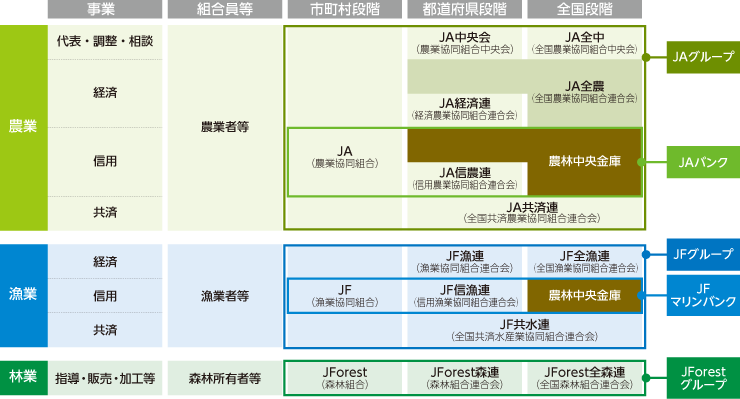 こちらは以上の主な系統組織の仕組みを説明している図です