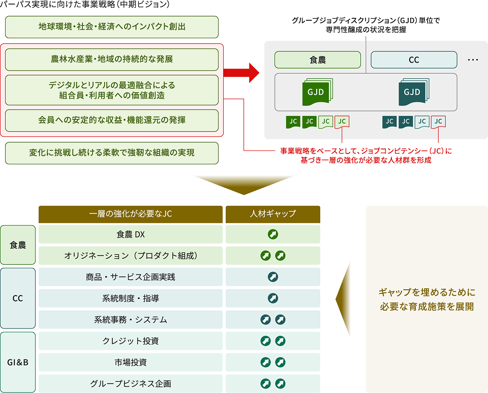 人材群形成に向けたイメージを示した図。左上に、パーパス実現に向けた事業戦略、中期ビジョンとして、地球環境・社会・経済へのインパクト創出、農林水産業・地域の持続的な発展、デジタルとリアルの最適融合による組合員・利用者への価値創造、会員への安定的な収益・機能還元の発揮、変化に挑戦し続ける柔軟で強靭な組織の実現が並んでいる。この事業戦略をベースとして、右上のグループジョブディスクリプション、GJD単位で専門性形成の体系を設置する流れが示されている。GJDの例として食農、CC、その他があり、それぞれの下にジョブコンピテンシー（JC）が配置されている。下部には、一層の強化が必要なJCと人材ギャップの表があり、食農では、食農DX、オリジネーション、プロダクト組成が示されている。CCでは、商品・サービス企画実践、系統制度・指導、系統事務・システムが示されている。GI&Bでは、クレジット投資、市場投資、グループビジネス企画が示されている。各項目の人材ギャップは矢印アイコンで示されており、食農DX、商品・サービス企画実践、系統制度・指導は1つ、オリジネーション、系統事務・システム、クレジット投資、市場投資、グループビジネス企画は2つの矢印アイコンが表示されている。右側には、ギャップを埋めるために必要な育成施策を展開、と記載されている。