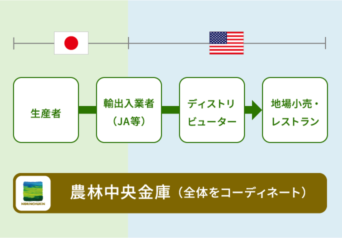 米国への和牛輸出プロジェクトの流れを示した図。日本側の生産者から輸出入業者（JA等）へつながり、米国側のディストリビューターを経由して、地域小売・レストランへ流通する。農林中央金庫は全体をコーディネートする役割として示されている。
