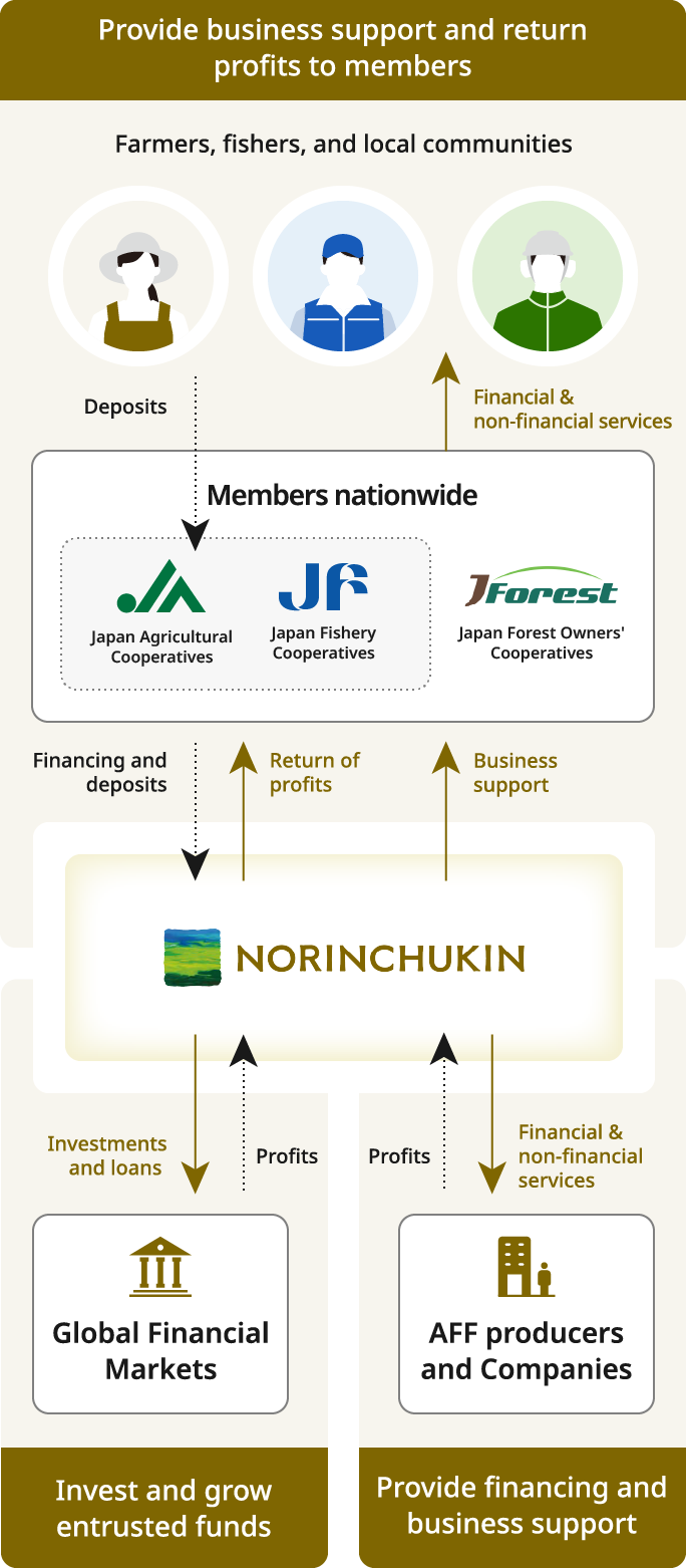 Diagram showing the role of Norinchukin Bank. On the left, nationwide members (JA, JF, Forest Cooperatives, etc.) and local members/users are depicted, providing deposits and services to Norinchukin Bank. In the center is Norinchukin Bank. On the right, the global financial market and agri-forestry-fishery producers/companies are shown. Norinchukin Bank invests funds in the global financial market and provides funding and business support to agri-forestry-fishery producers and companies. The bank also provides business support and returns profits to its members.