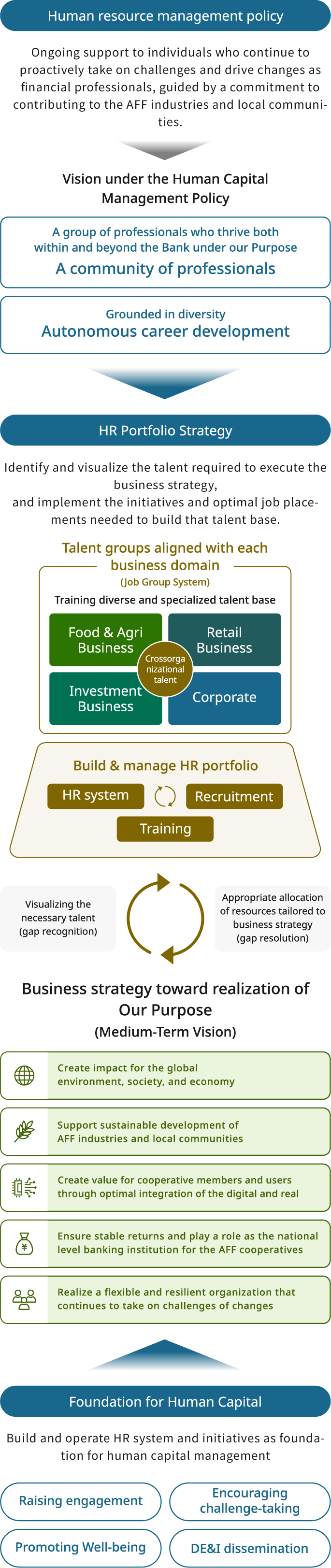 Diagram showing the overall picture of The Norinchukin Bank’s human capital management. From left to right, it consists of the Human Resources Management Policy, the Human Resources Portfolio Strategy, and the foundation supporting human capital. The Human Resources Management Policy provides ongoing support for employees who, with a commitment to contributing to primary industries and local communities, continue to challenge themselves and drive change autonomously as financial professionals. The goals under this policy are to build a professional organization whose members contribute both within and outside the Bank under its Purpose, and to enable autonomous career development that reflects diversity. The Human Resources Portfolio Strategy visualizes the groups of employees with the careers, expertise, and other capabilities required to implement business strategies, and implements the necessary measures and optimal assignments to develop those groups. It includes the formation of specialized and diverse employee groups aligned with business areas and the job group system, covering food and agriculture, retail, investment, corporate functions, and cross-functional roles. The development and operation of the human resources portfolio include personnel systems, recruitment, and talent development. The diagram shows a cycle of visualizing the human resources needed, identifying gaps, appropriately allocating resources in line with business strategies, and closing those gaps. The business strategies and medium-term vision for realizing the Purpose include creating impact on the global environment, society, and the economy; supporting the sustainable development of agriculture, forestry, fisheries, and local communities; creating value for members and users through the optimal integration of digital and physical channels; delivering stable returns and functions to members; and realizing a flexible and resilient organization that continues to embrace change. The foundation supporting human capital involves establishing and operating personnel systems and initiatives that form the basis of human capital management, including enhancing employee engagement, encouraging challenges, promoting well-being, and embedding diversity, equity, and inclusion (DE&I).