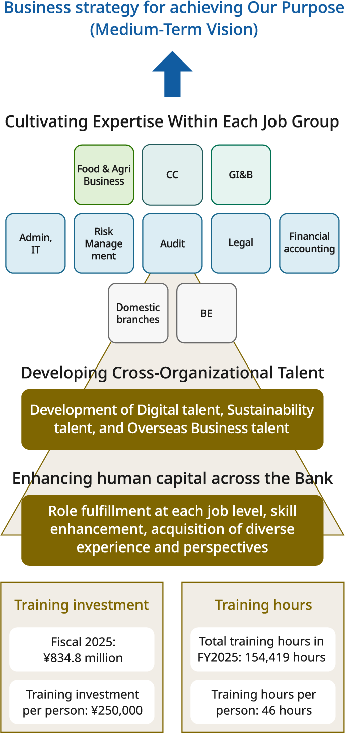 Diagram showing the structure of the talent development plan. At the top are specialized talent and the Colleague Vision for realizing the Purpose. Below this is the development of expertise by job group, covering Food and Agriculture, CC, GI&B, Audit, Legal, Finance and Accounting, Operations and IT, Risk Management, Domestic Branches, and BE. Further below is the formation of cross-organizational talent groups, including the development of DX talent, sustainability talent, and global business talent, among others. The next section, also concerning the formation of cross-organizational talent groups, covers demonstrating roles according to job level, improving skills, and gaining diverse experience and perspectives. At the bottom of the diagram, talent development investment is shown as 834.8 million yen in fiscal 2025, or 250,000 yen per employee. Training time is shown as 154,419 total hours in fiscal 2025, or 46 hours per employee.