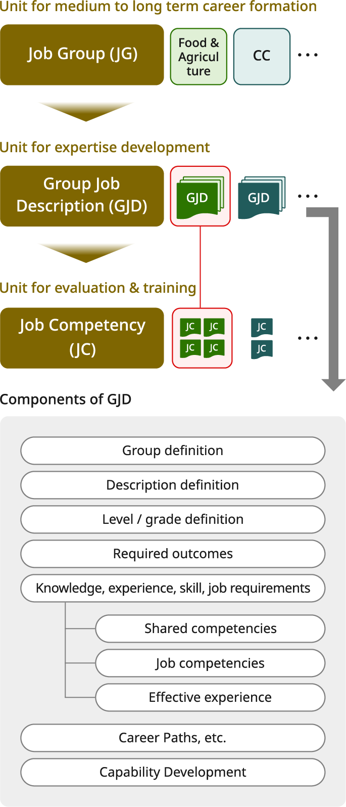 Diagram showing the relationship among job groups and group job descriptions. A job group (JG) is a unit for developing a medium- to long-term career, with Food and Agriculture and CC as examples. A group job description (GJD) is a unit of expertise positioned below a job group. Job competencies (JCs) are units for evaluation and development, with multiple JCs positioned under each GJD. The components of a GJD include the group definition, description definition, job level and grade definitions, expected outcomes, required knowledge, experience, skills, and job elements, common competencies, job competencies, relevant experience, career paths, and capability development.
