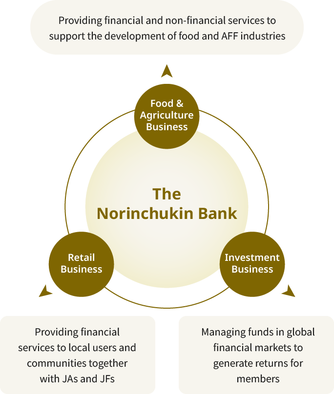 A diagram showing the three business areas of Norinchukin Bank. The Food and Agriculture Business provides financial and non-financial services to support the development of the food, agriculture, forestry, and fisheries industries. The Retail Business offers financial services to local customers in collaboration with JA, JF, and other organizations. The Investment Business manages funds in global financial markets to return profits to its members.