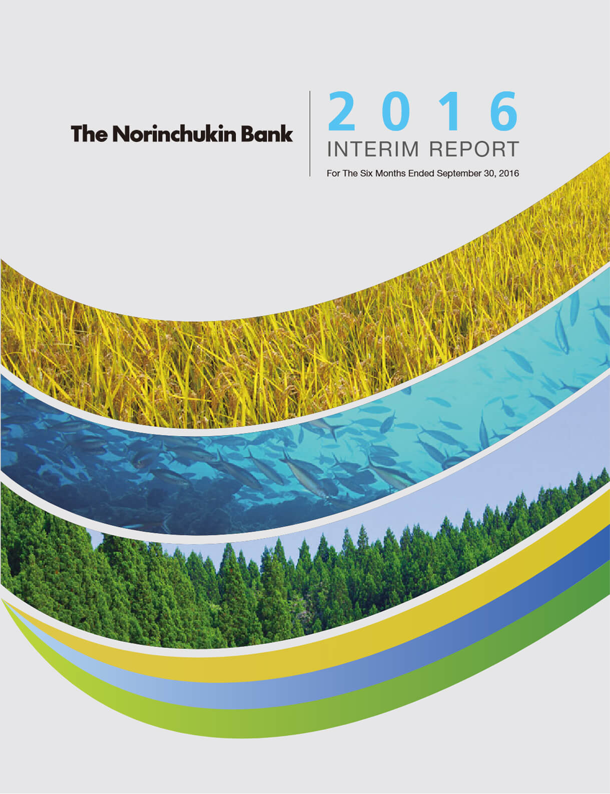 Cover of Interim Report 2017