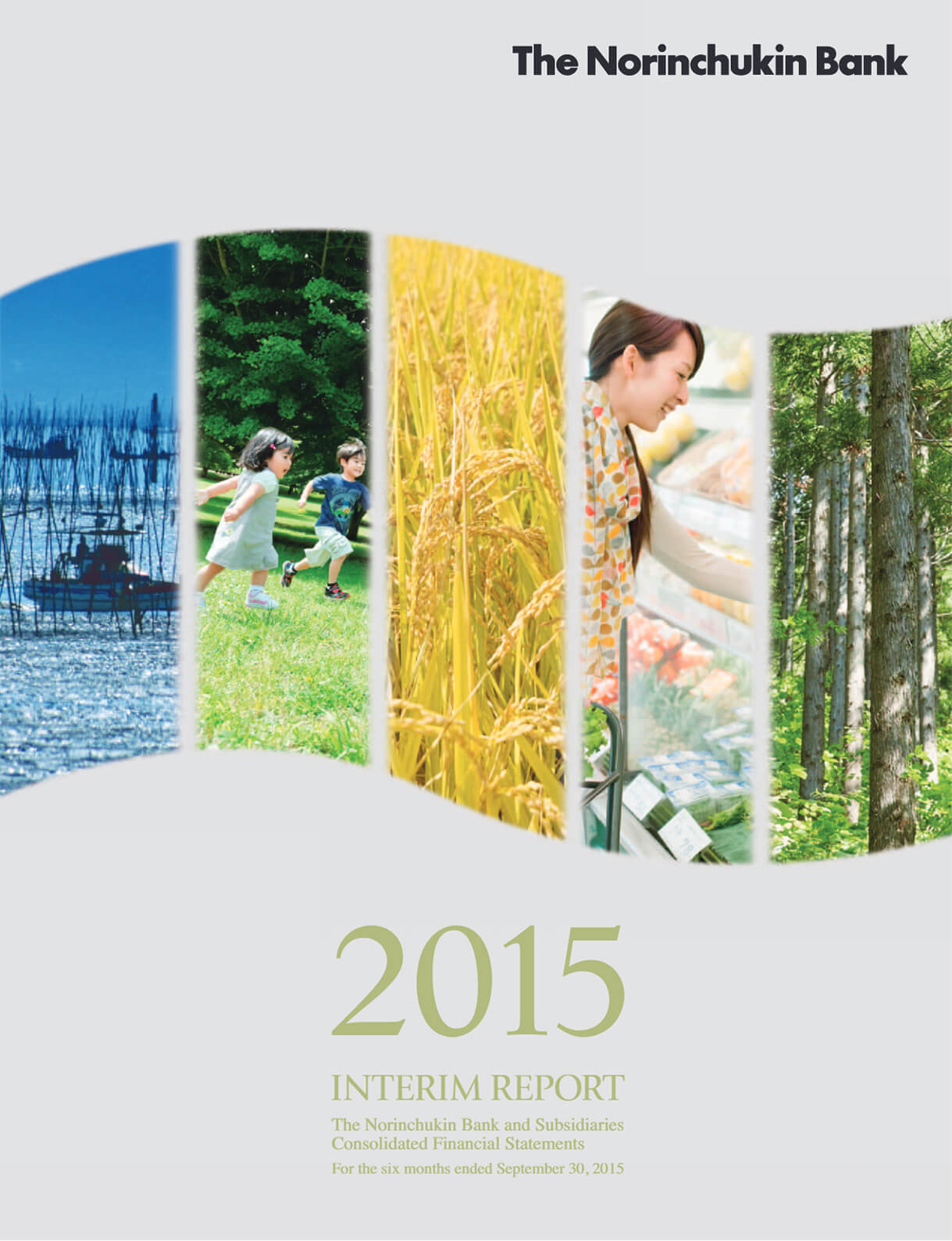Cover of Interim Report 2016