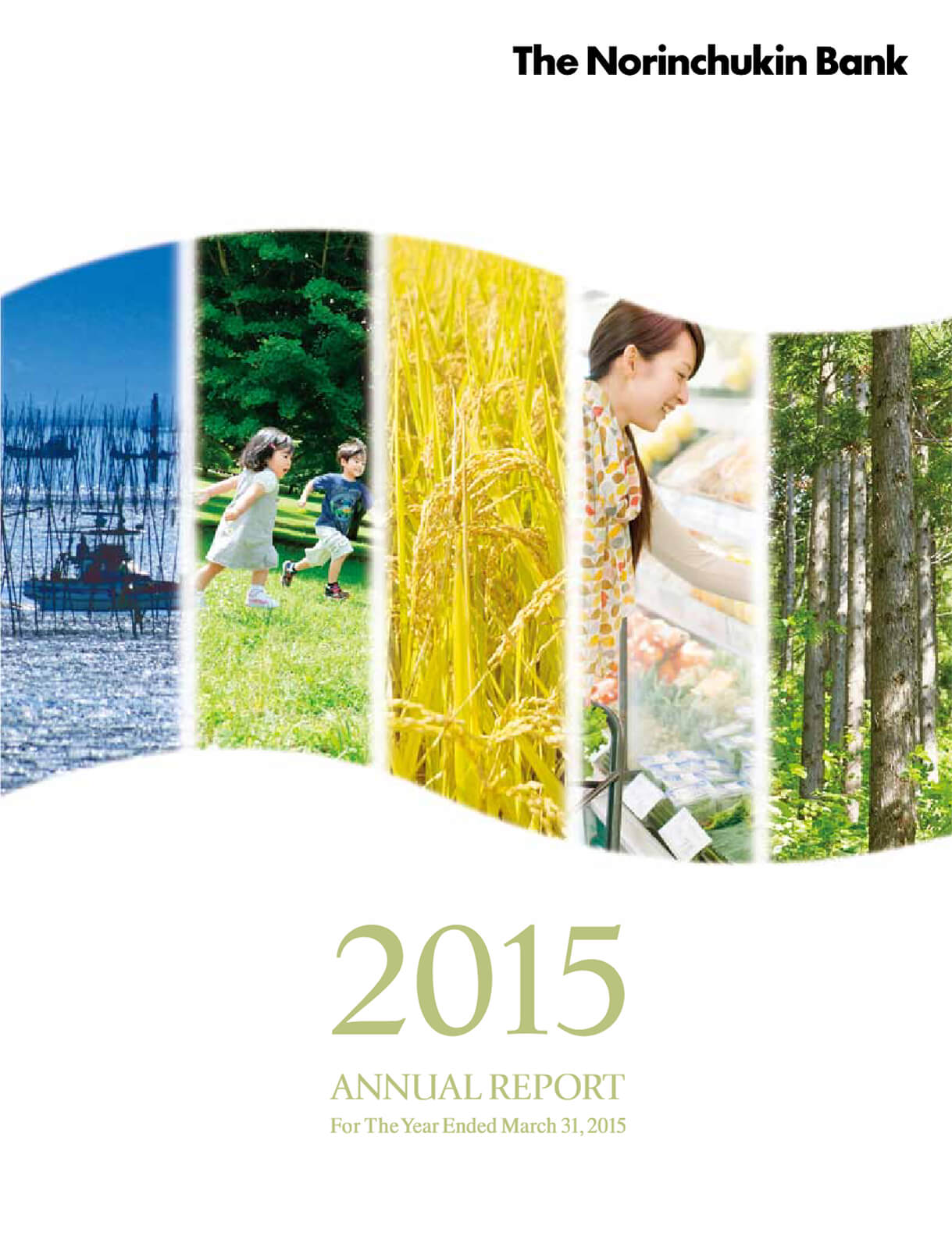 Cover of Annual Report 2015