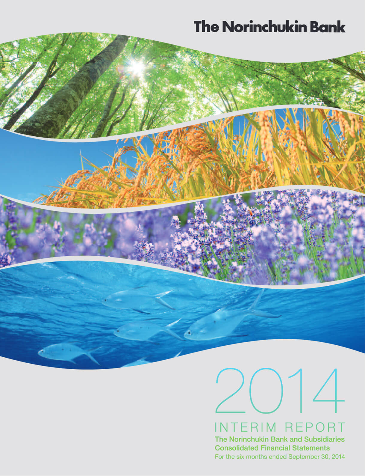 Cover of Interim Report 2015