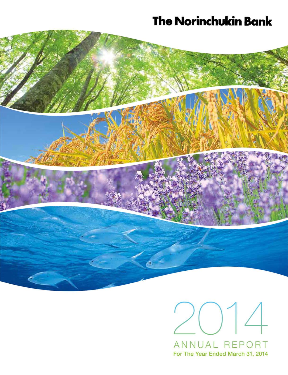 Cover of Annual Report 2014