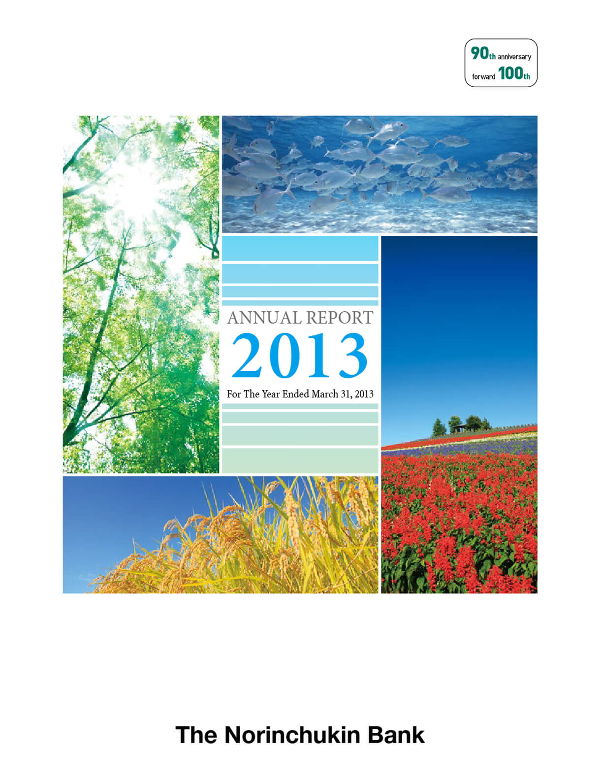 Cover of Annual Report 2013