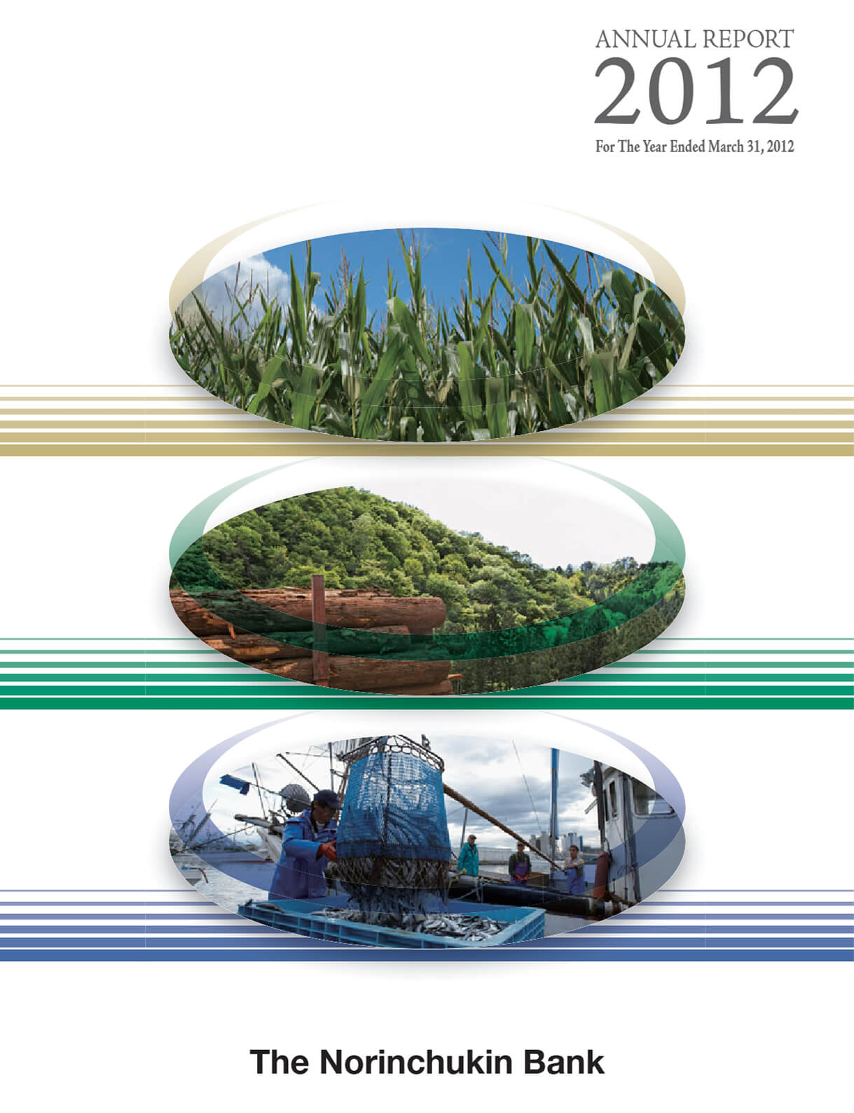Cover of Annual Report 2012