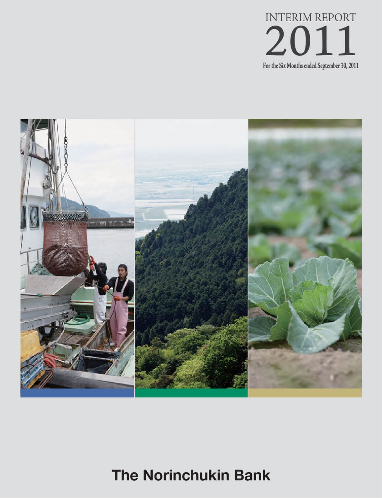 Cover of Interim Report 2012