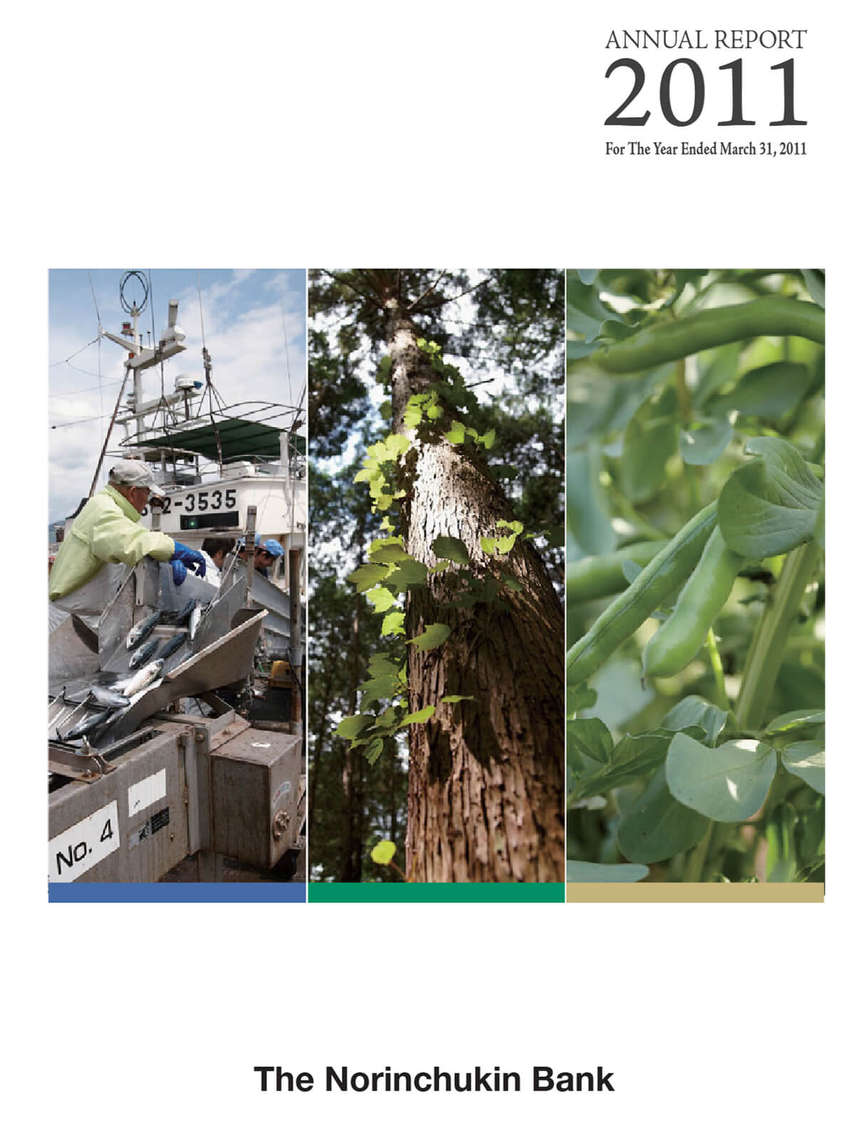 Cover of Annual Report 2011