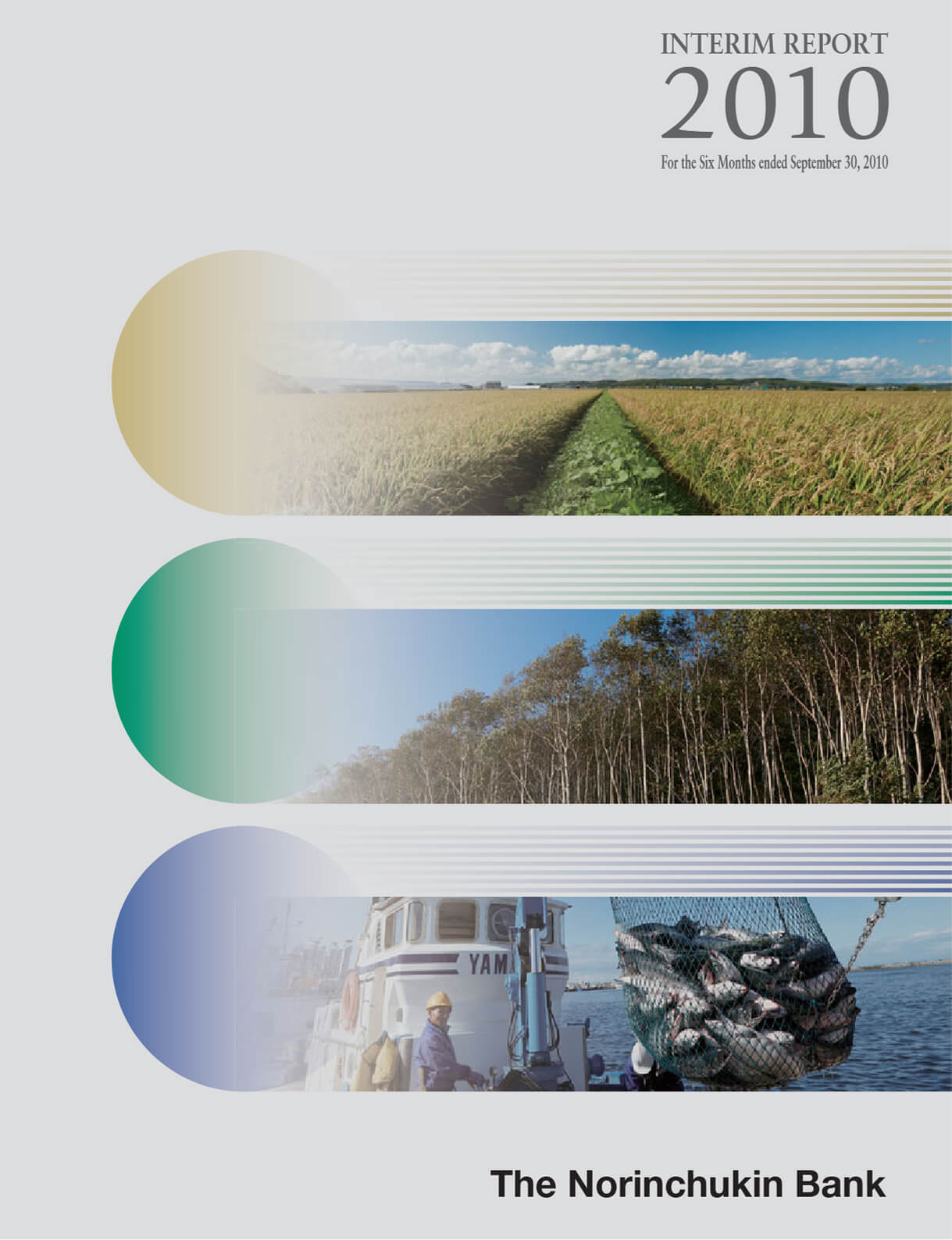 Cover of Interim Report 2011