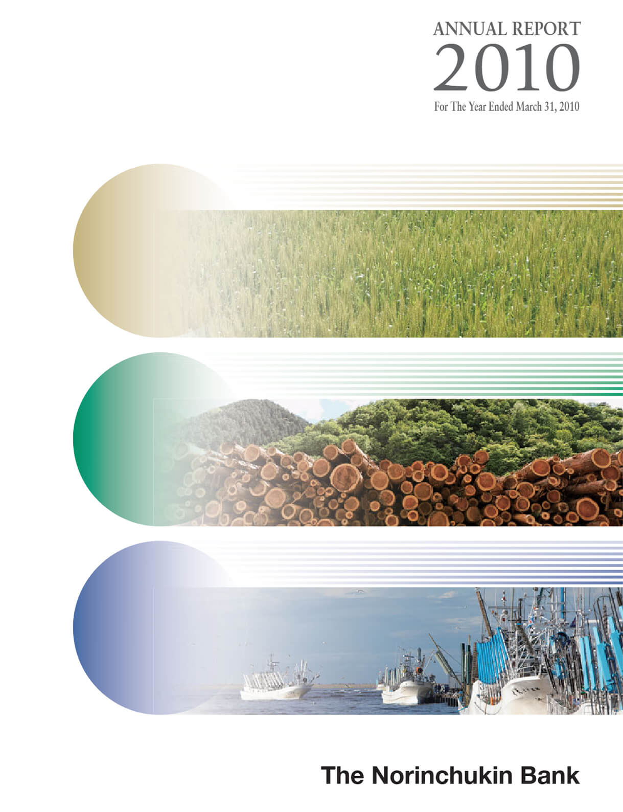 Cover of Annual Report 2010