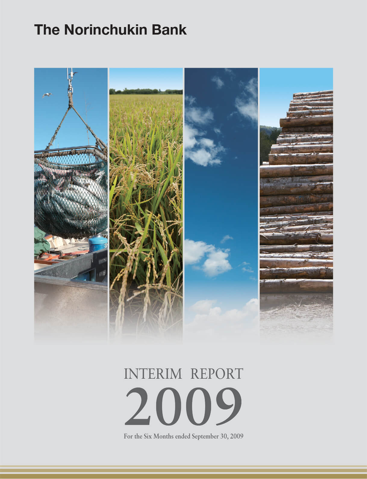 Cover of Interim Report 2010