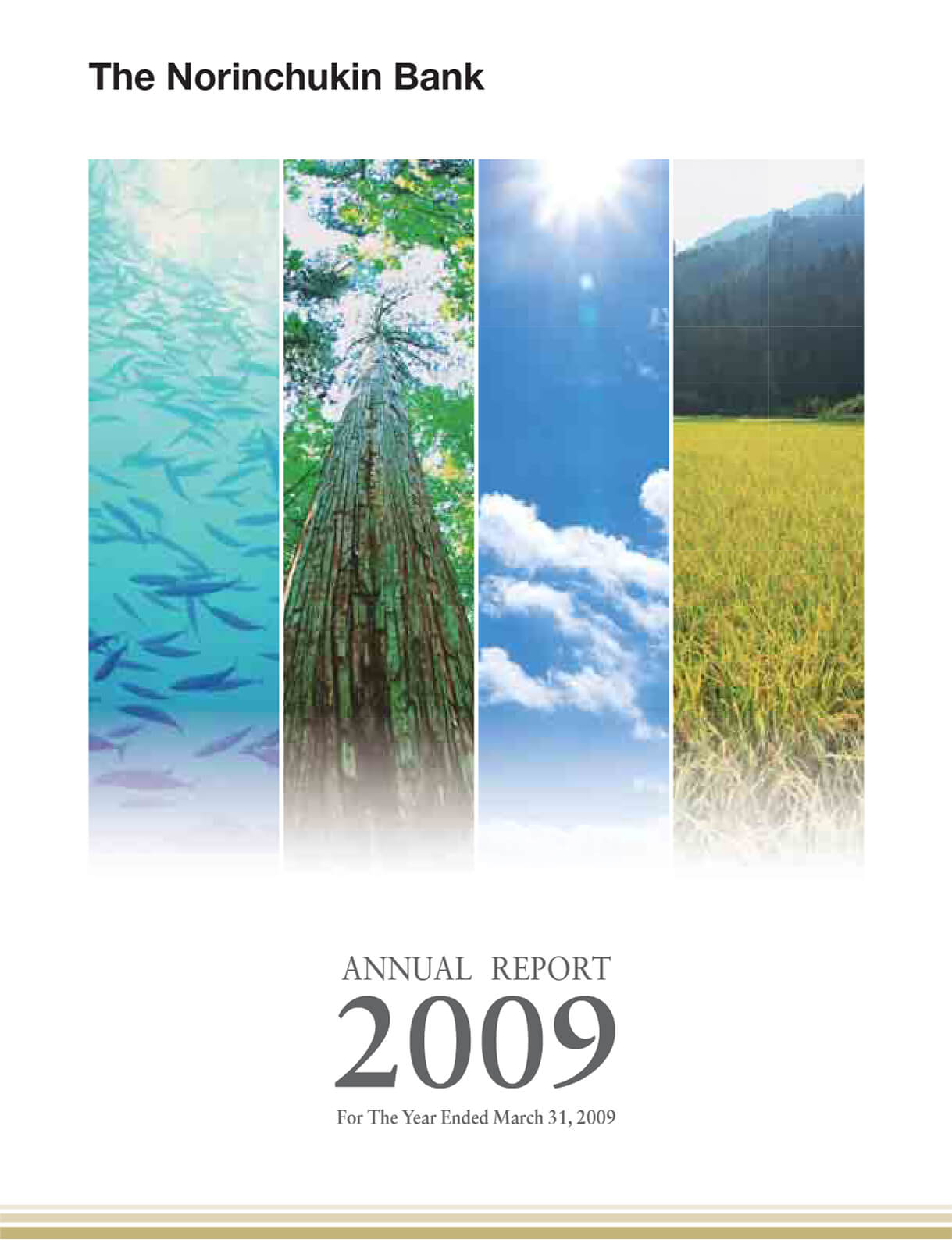 Cover of Annual Report 2009