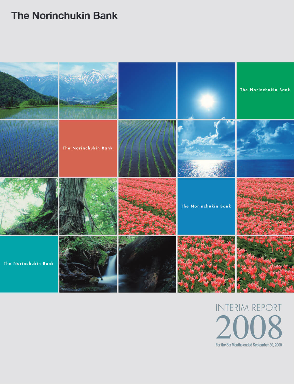Cover of Interim Report 2009