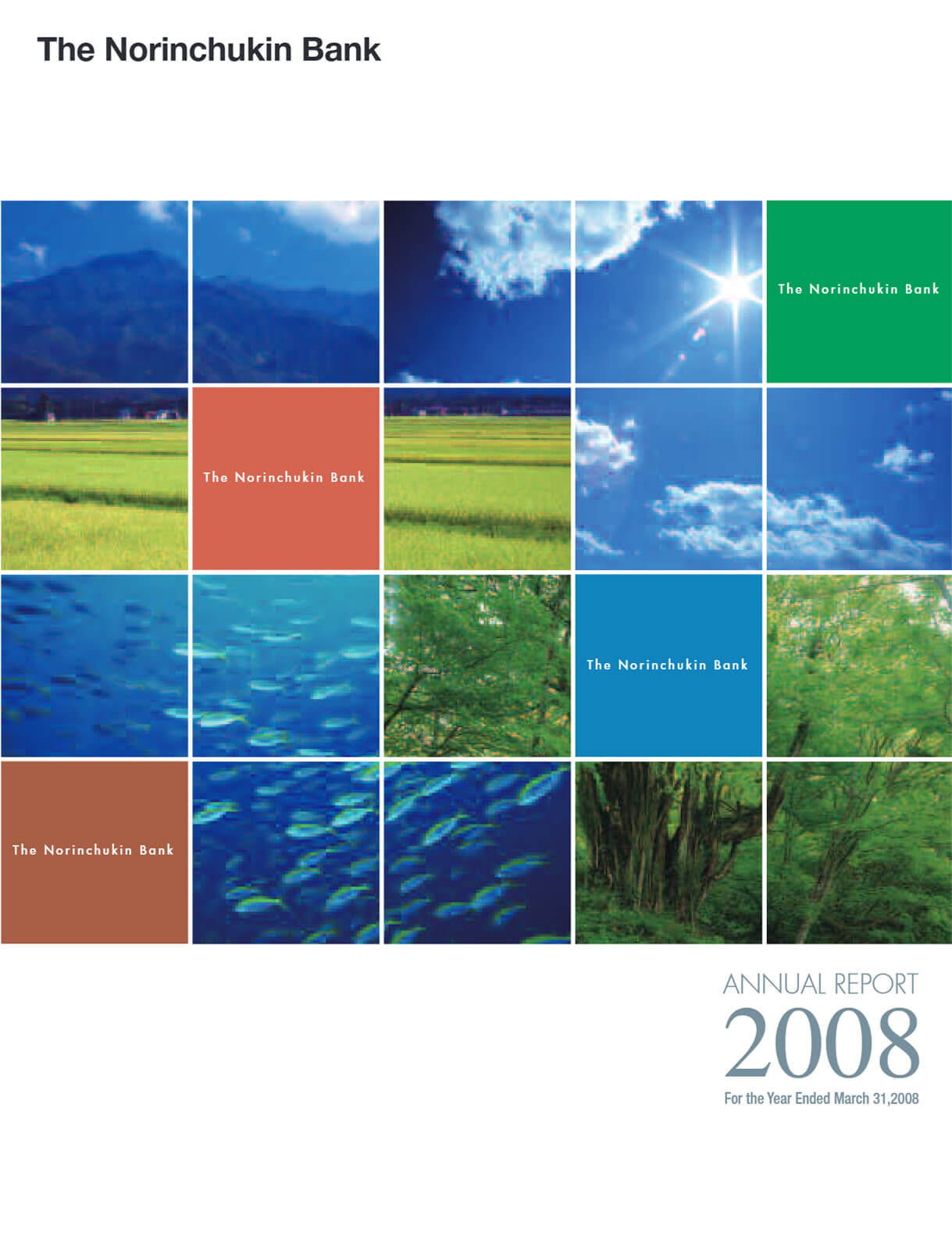 Cover of Annual Report 2008