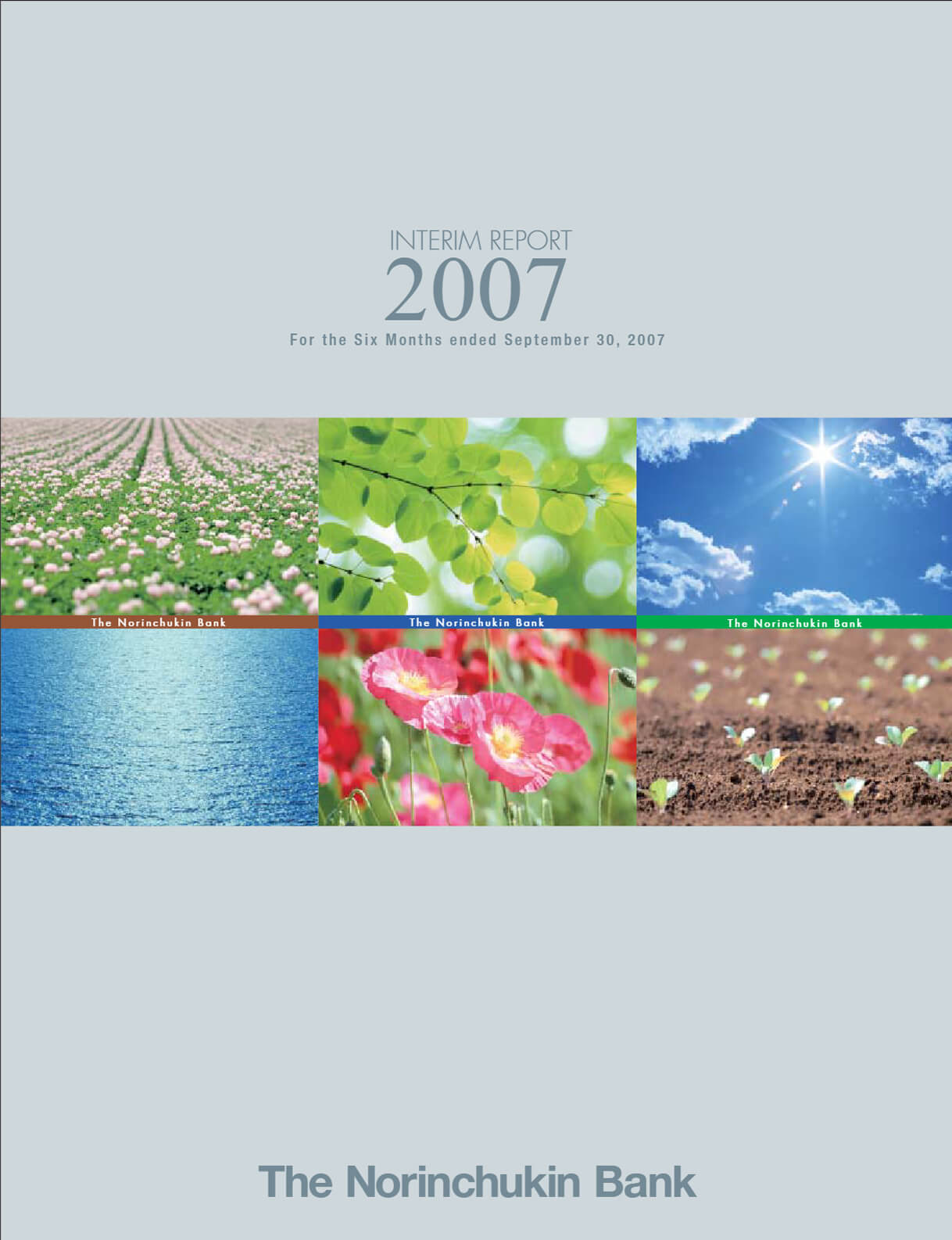 Cover of Interim Report 2008