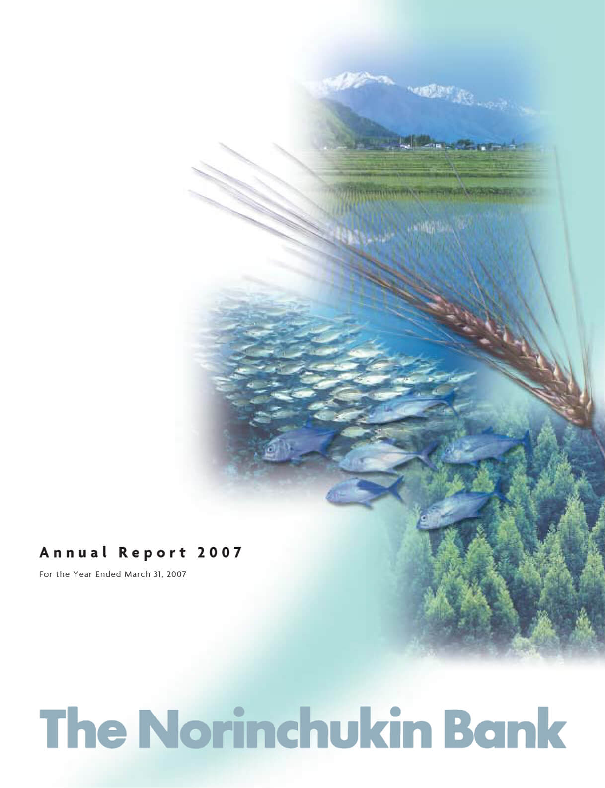 Cover of Annual Report 2007