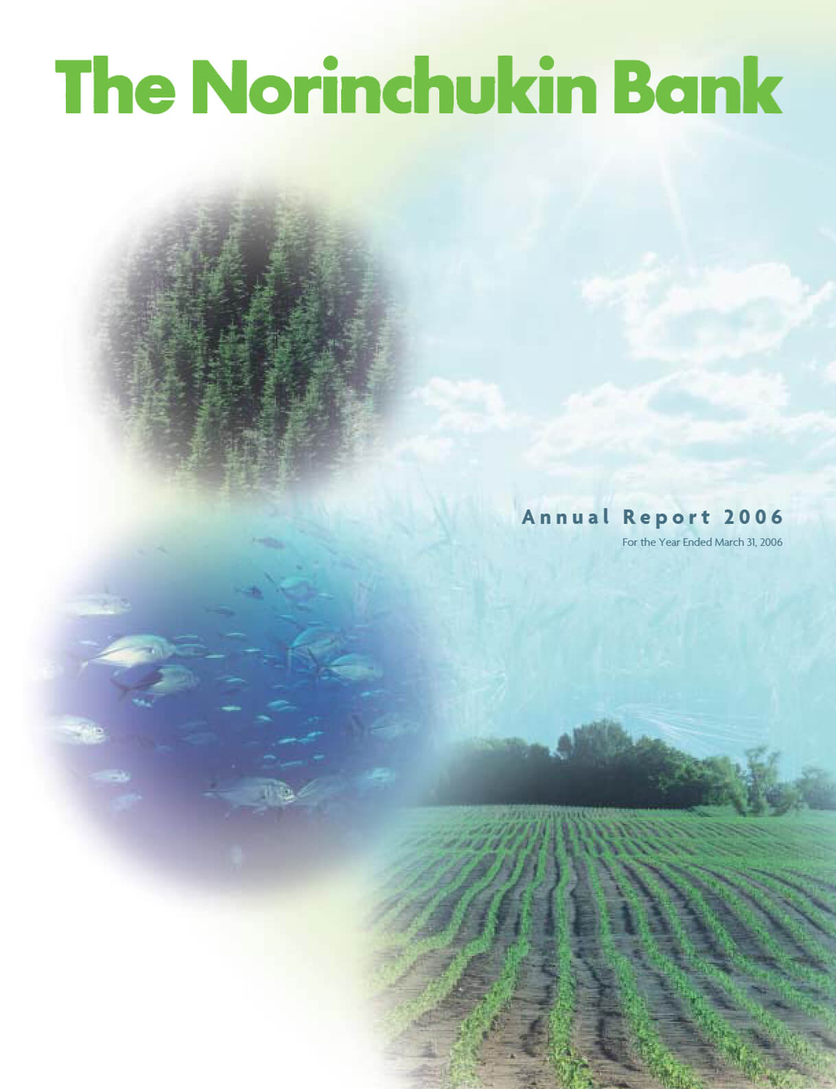 Cover of Annual Report 2006
