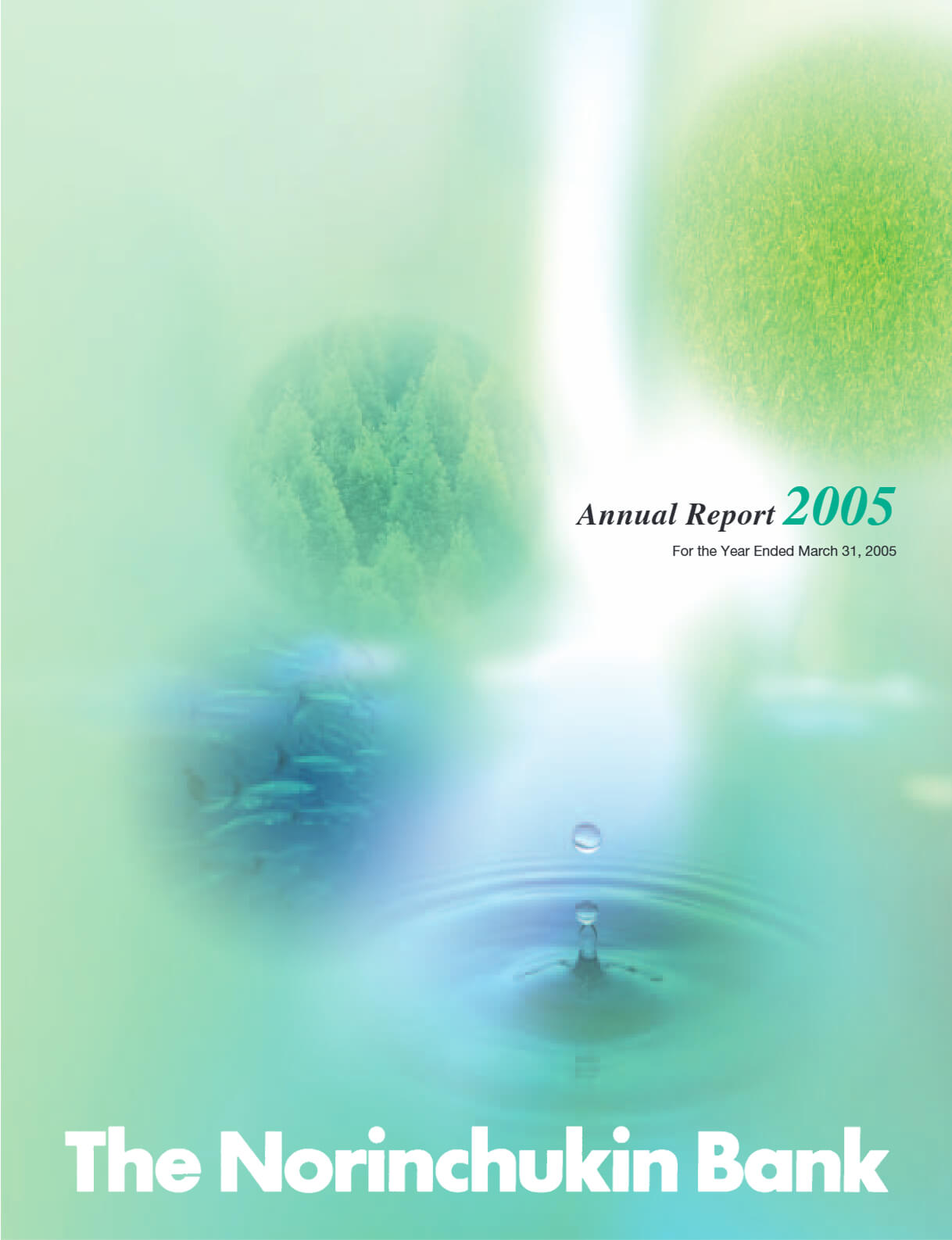 Cover of Annual Report 2005