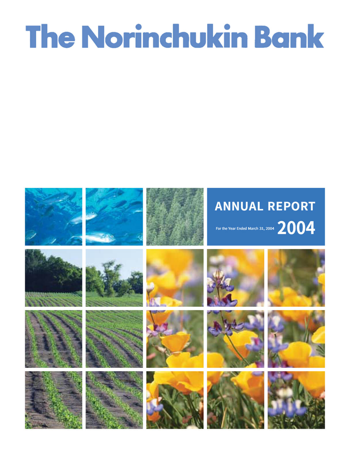 Cover of Annual Report 2004