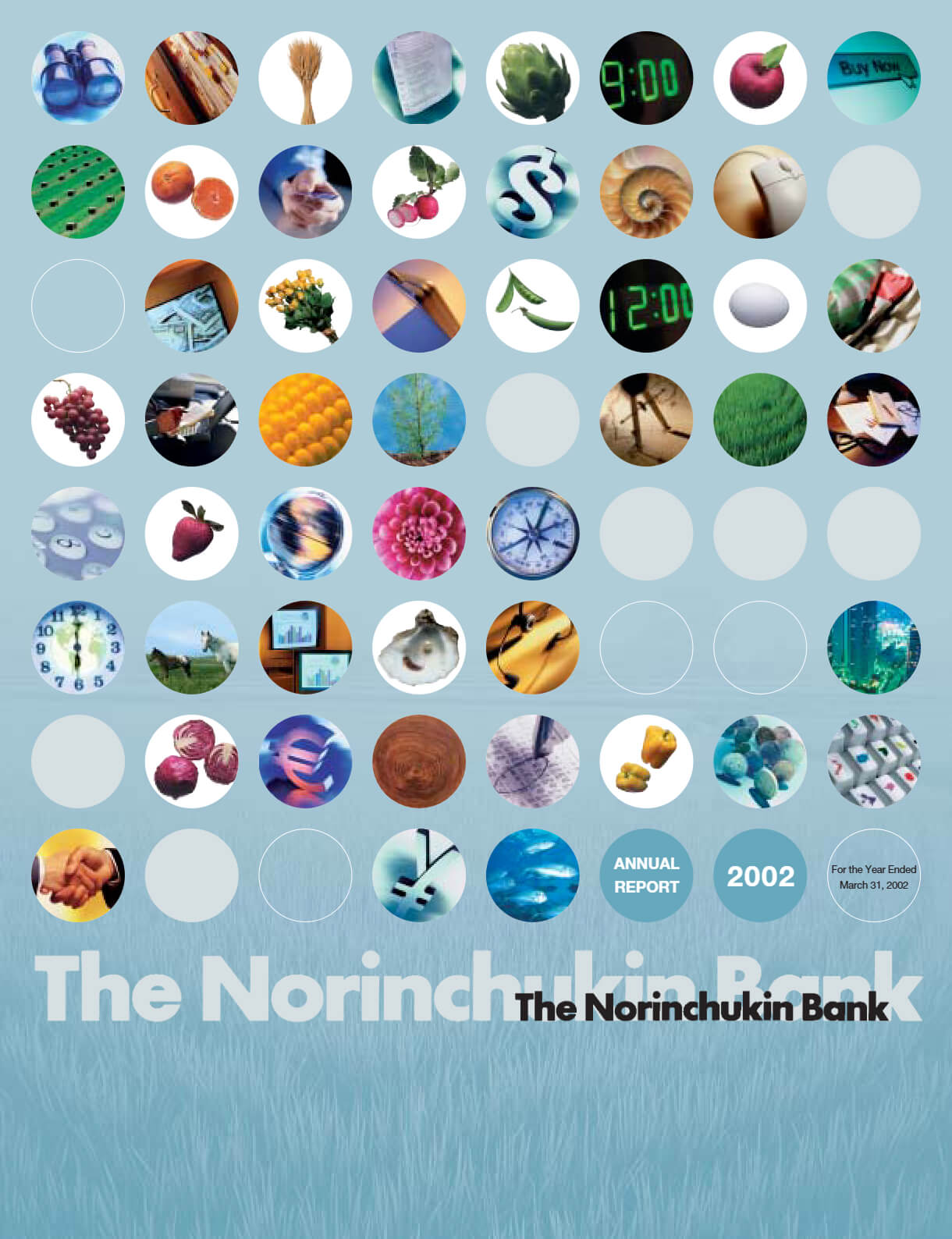 Cover of Annual Report 2002