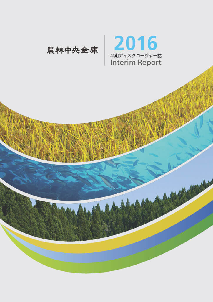 ディスクロージャー誌 2017年3月期半期 PDFで開く
