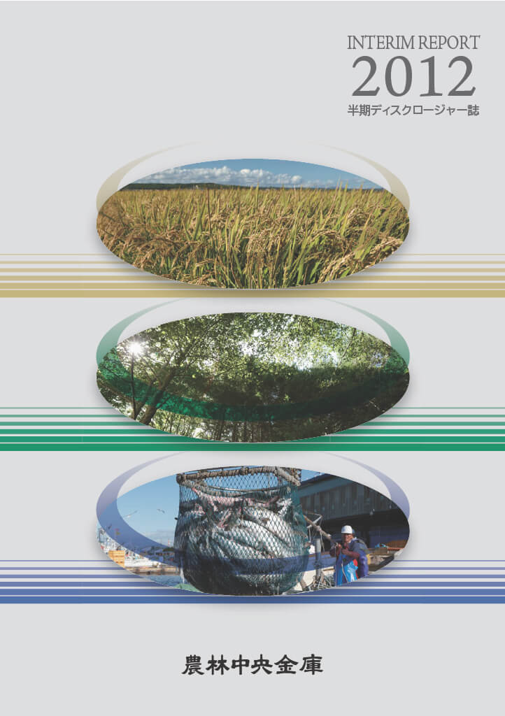ディスクロージャー誌 2013年3月期半期 PDFで開く