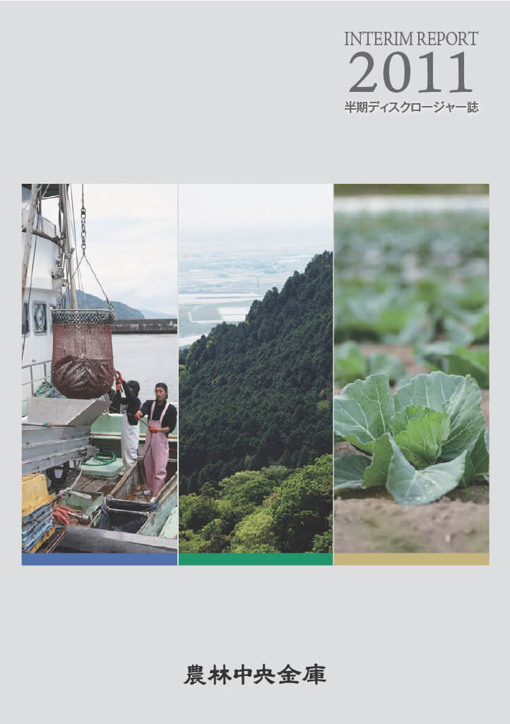 ディスクロージャー誌 2012年3月期半期 PDFで開く