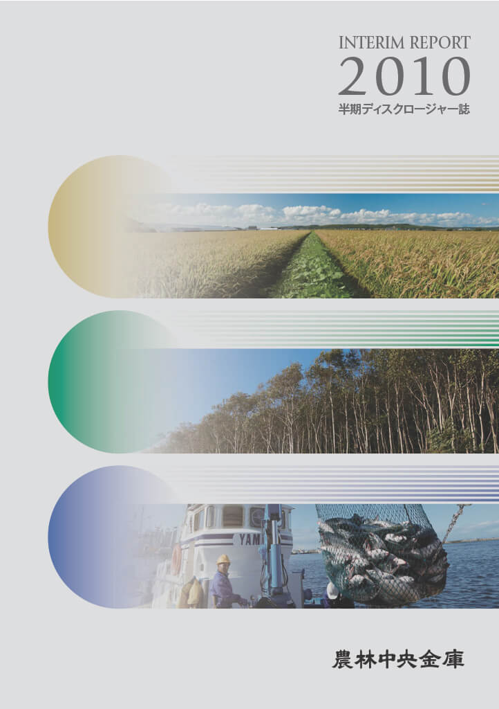 ディスクロージャー誌 2011年3月期半期 PDFで開く