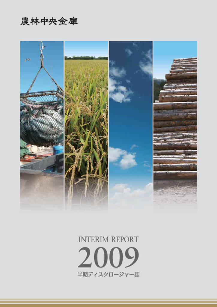 ディスクロージャー誌 2010年3月期半期 PDFで開く