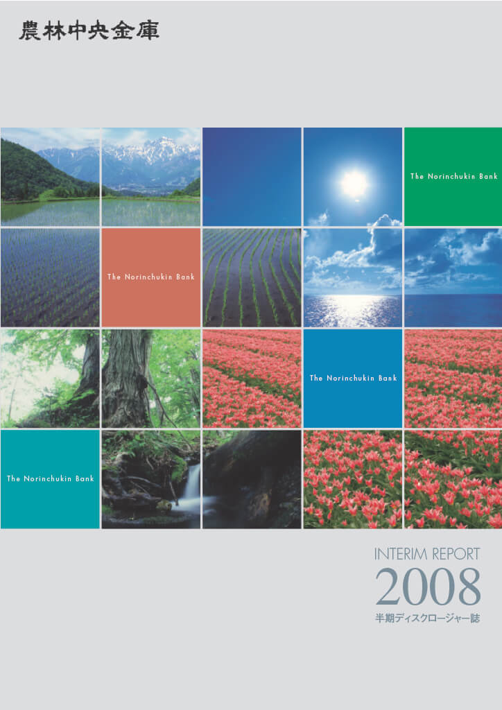 ディスクロージャー誌 2009年3月期半期 PDFで開く