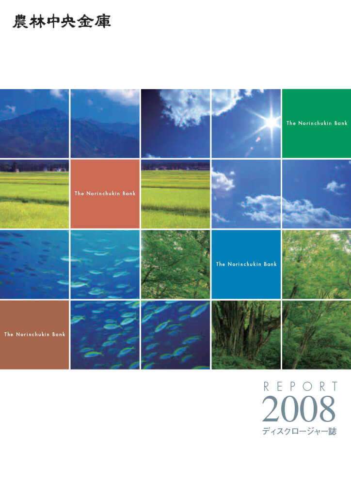 ディスクロージャー誌 2008年度版 PDFで開く
