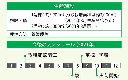 生産施設 施設面積 1号棟：約3,700㎡（うち栽培面積は約3,000㎡）（2021年8月生産開始予定） 2号棟：約4,000㎡（2023年8月同上）栽培方法 養液栽培 今後のスケジュール（2021年）