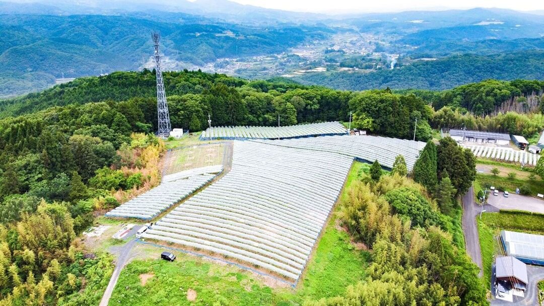 岡山県久米南町、山あいに点在して約1.8ヘクタールの畑を有する加原農園 
