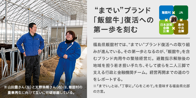 までいブランド「飯舘牛」復活への第一歩を刻む 飯舘村×JA×日本政策金融公庫×農林中央金庫 福島県飯舘村では、“までい”ブランド復活への取り組みが進んでいる。その第一歩となるのが、「飯舘牛」を含むブランド肉用牛の繁殖経営だ。避難指示解除後の地域を担う若き担い手たち、そして彼らを二人三脚で支える行政と金融機関チーム。経営再開までの道のりをレポートする。 ※「までい」とは、「丁寧に」「心をこめて」を意味する福島県北部の方言。 山田豊さん（左）と天野浩樹さん（右）は、飯舘村の農業再生に向けて互いに切磋琢磨している。