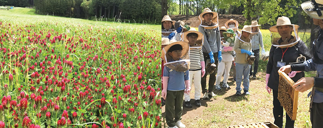 市東地区に育ちやすく、土壌改良に適した緑肥作物・クリムソンクローバーの花畑。ODFでは、自然や農業について楽しく学べる採蜜体験や朝市などのイベントも開催。また、周辺の生態系に配慮した有機JAS認証の野菜栽培も行っている。