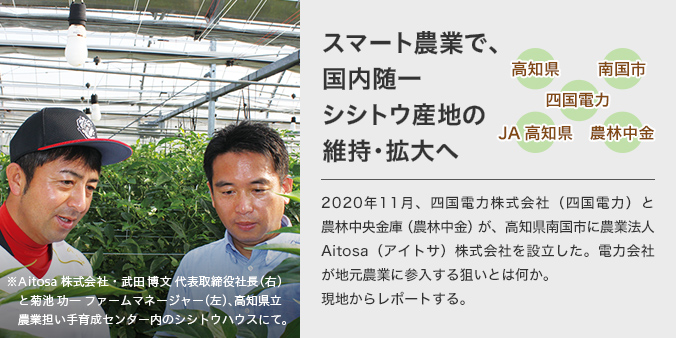 スマート農業で、国内随一シシトウ産地の維持・拡大へ　2020年11月、四国電力株式会社（四国電力）と農林中央金庫（農林中金）が、高知県南国市に農業法人Aitosa（アイトサ）株式会社を設立した。電力会社が地元農業に参入する狙いとは何か。現地からレポートする。　Aitosa 株式会社・武田 博文 代表取締役社長（右）と菊池 功一 ファームマネージャー（左）、高知県立農業担い手育成センター内のシシトウハウスにて。