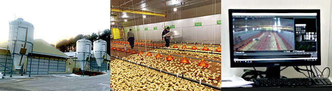 大笹農場の鶏舎外観、養鶏場作業風景、モニター管理（監視）で省人化を図る最先端設備。