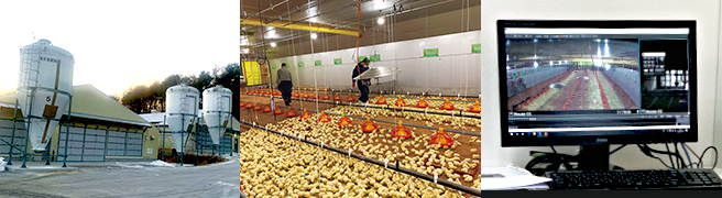 大笹農場の鶏舎外観、養鶏場作業風景、モニター管理(監視)で省人化を図る最先端設備。