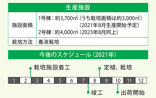 生産施設 施設面積 1号棟：約3,700㎡（うち栽培面積は約3,000㎡）（2021年8月生産開始予定） 2号棟：約4,000㎡（2023年8月同上）栽培方法 養液栽培 今後のスケジュール（2021年）