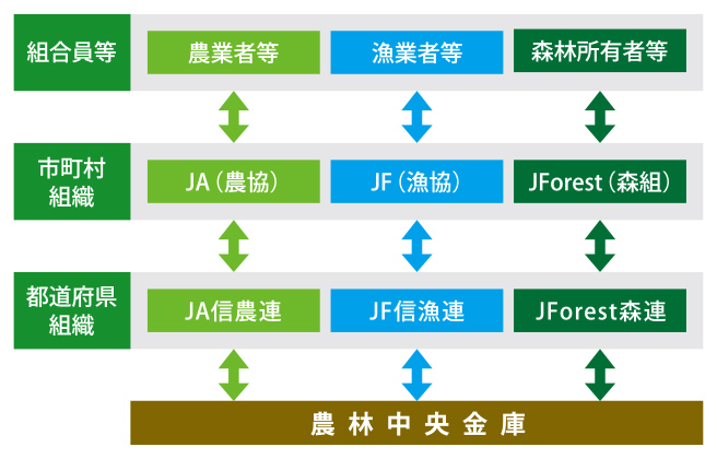 農林漁業中央金庫史　4巻セット　沖縄 公式】木の屋石巻水産|オンラインストア