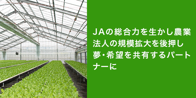 京丸園 JAとぴあ浜松 JAの総合力を生かし農業法人の規模拡大を後押し 夢・希望に共有するパートナーに