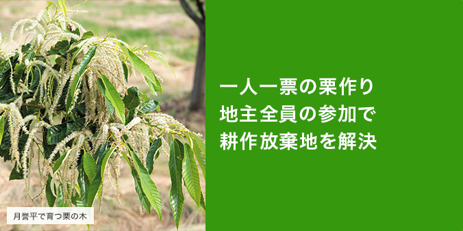 地主全員の参加で耕作放棄地を解決 住民参加による農業が根付いた飯島町。耕作放棄地の解決のため、田切地区では地主が中心となって社団法人を設立し栗作りが行われています。