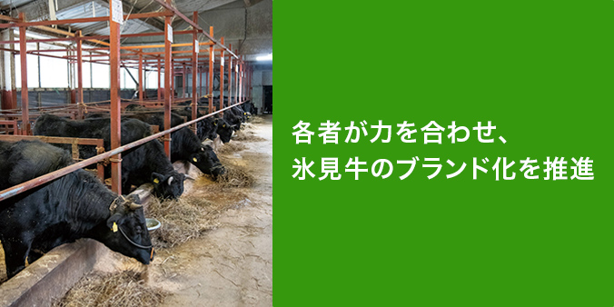 各者が力を合わせ、氷見牛のブランド化を促進 氷見牛 ブランド 促進協議会